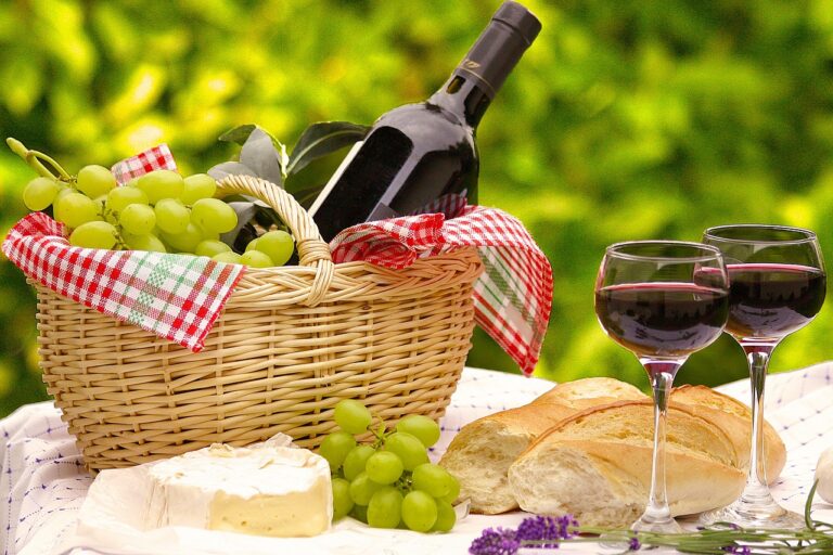 Les dégustations de vin à domicile : une super soirée entre copains
